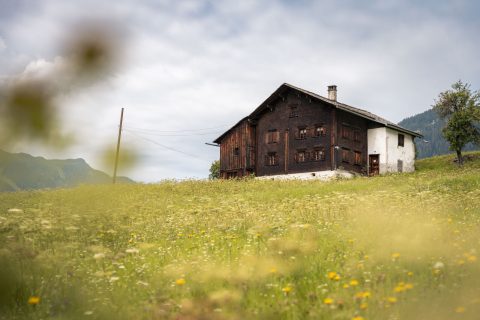 Montafon