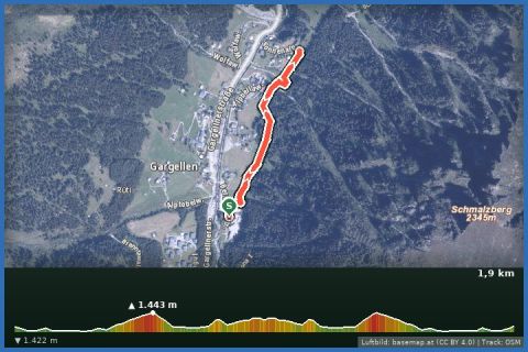 Karte: Variante Forstweg Schmalzberg (Gargellen)